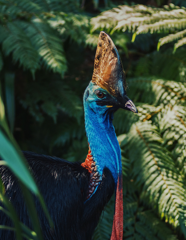 A safe haven for protected flora & fauna